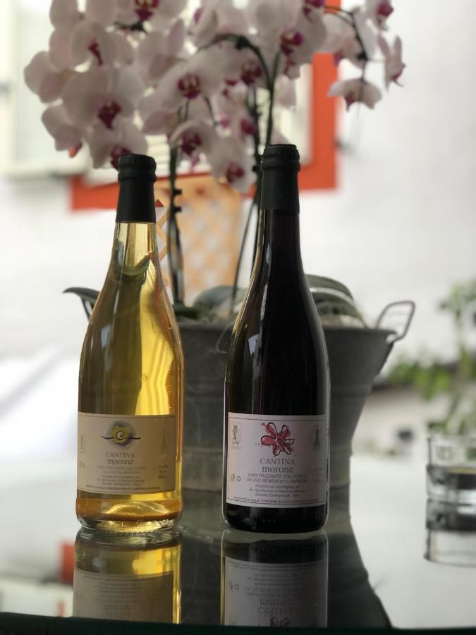 Agriturismo Cantina Morone Guardia Sanframondi Kültér fotó