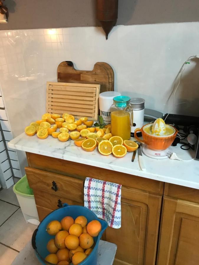 Agriturismo Cantina Morone Guardia Sanframondi Kültér fotó